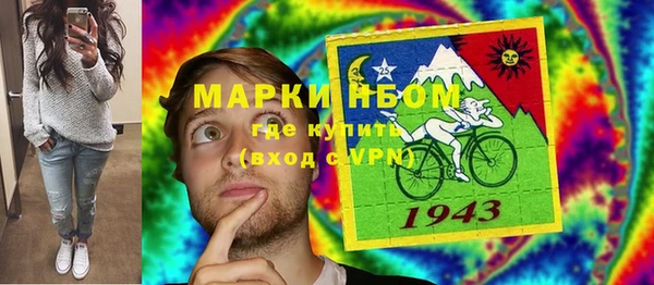 прущая мука Ельня