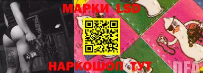 мдпв Бийск