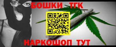 мдпв Бийск
