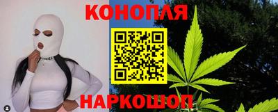 мдпв Бийск