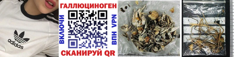 darknet формула  Выкса  Псилоцибиновые грибы Magic Shrooms 