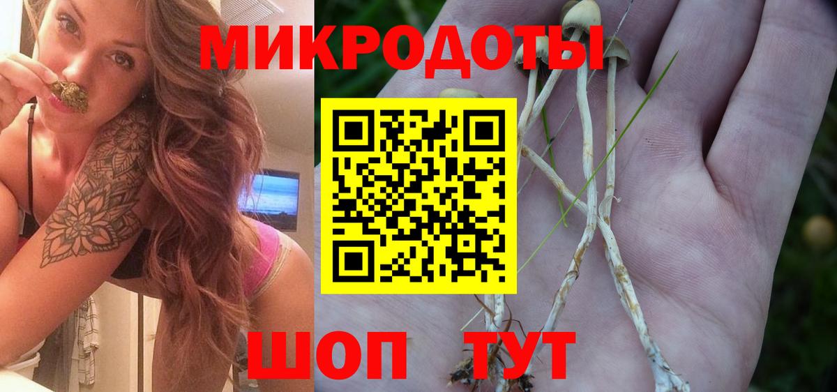 Выкса  Псилоцибиновые грибы Psilocybe  Псилоцибиновые грибы Cubensis  Вход с VPN 